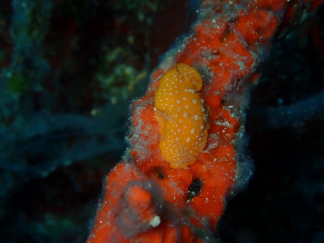 foto 10.06.19 21 00 20